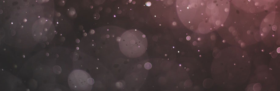 taneshaneuman3 Cover Image
